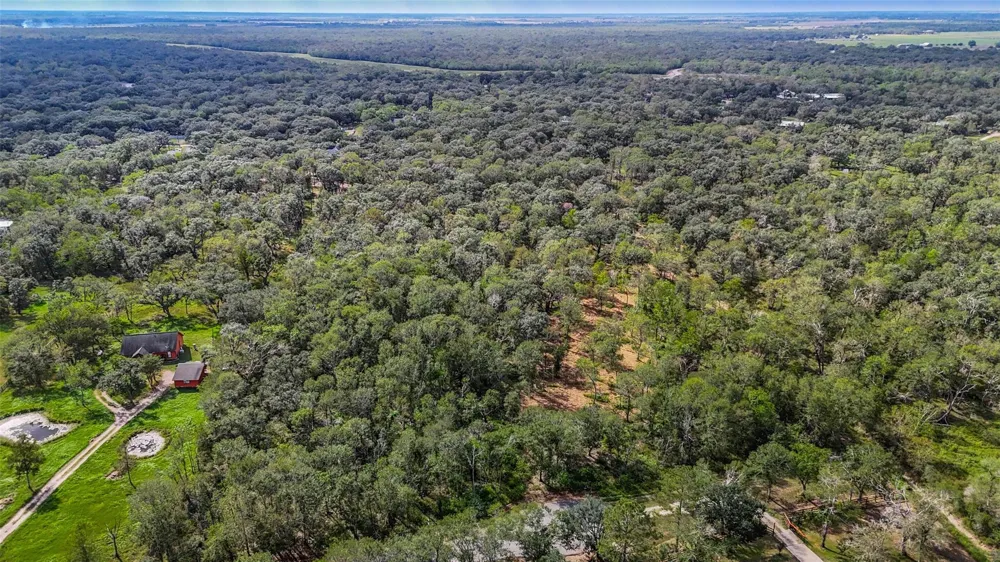 Live Oak St Damon, TX 77430