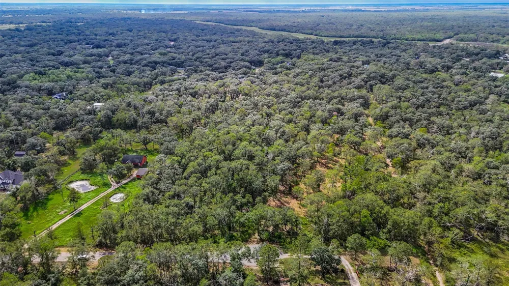 Live Oak St Damon, TX 77430