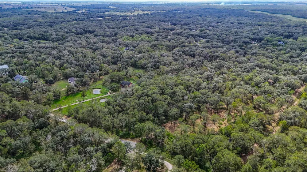 Live Oak St Damon, TX 77430