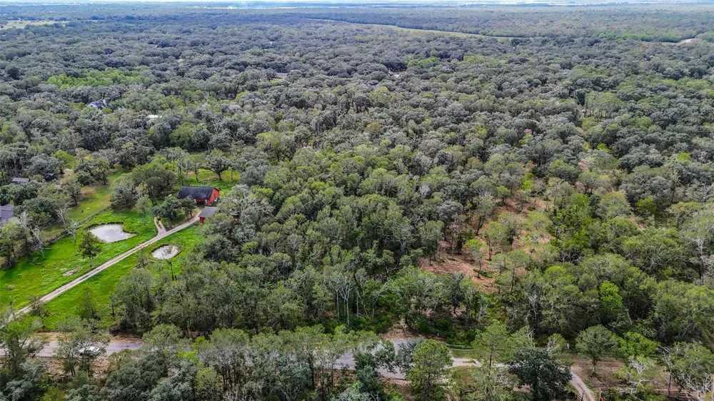 Live Oak St Damon, TX 77430