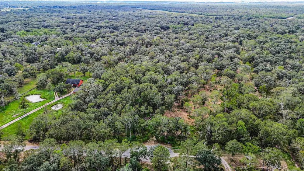 Live Oak St Damon, TX 77430