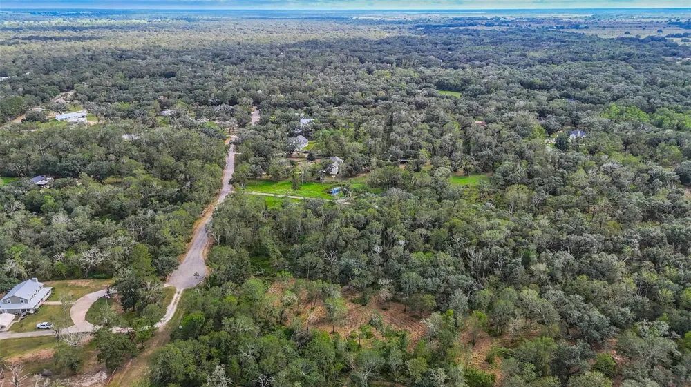 Live Oak St Damon, TX 77430
