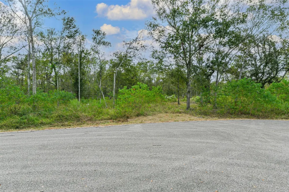 Live Oak St Damon, TX 77430