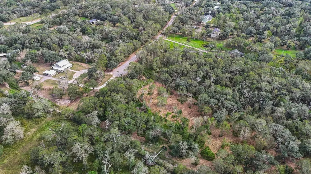 Live Oak St Damon, TX 77430