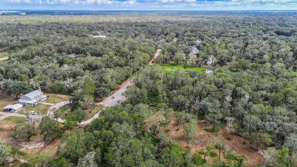 Live Oak St Damon, TX 77430