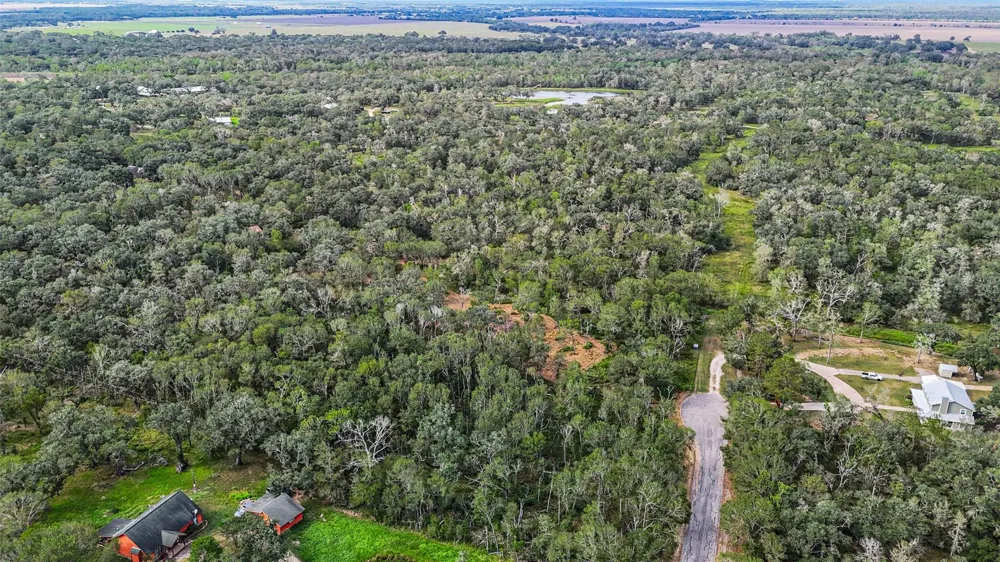 Live Oak St Damon, TX 77430