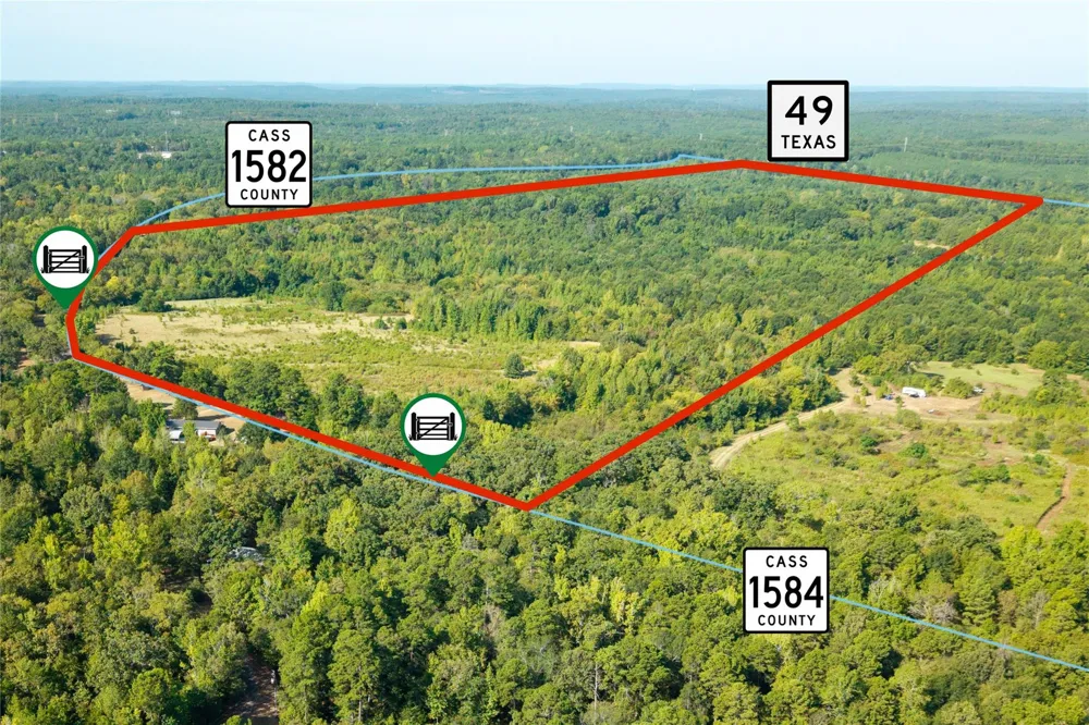 1 County Rd 1584 Avinger, TX 75630