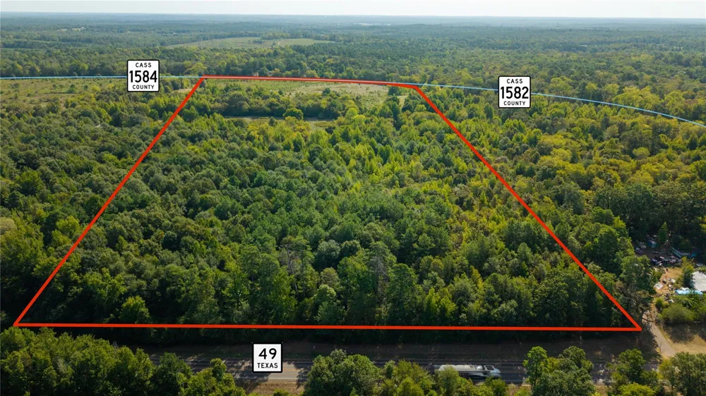 1 County Rd 1584 Avinger, TX 75630