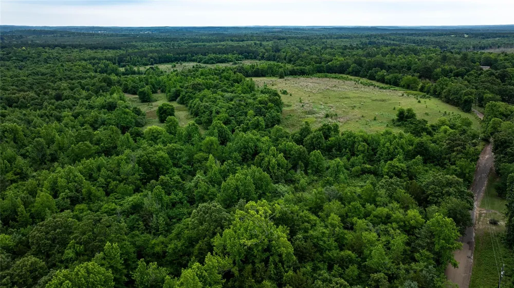 1 County Rd 1584 Avinger, TX 75630