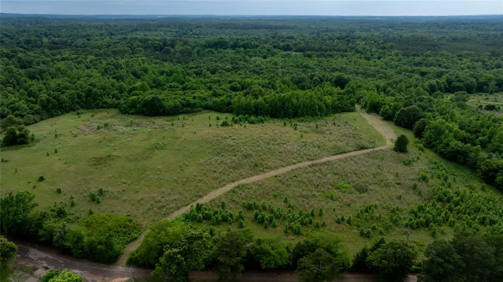 1 County Rd 1584 Avinger, TX 75630
