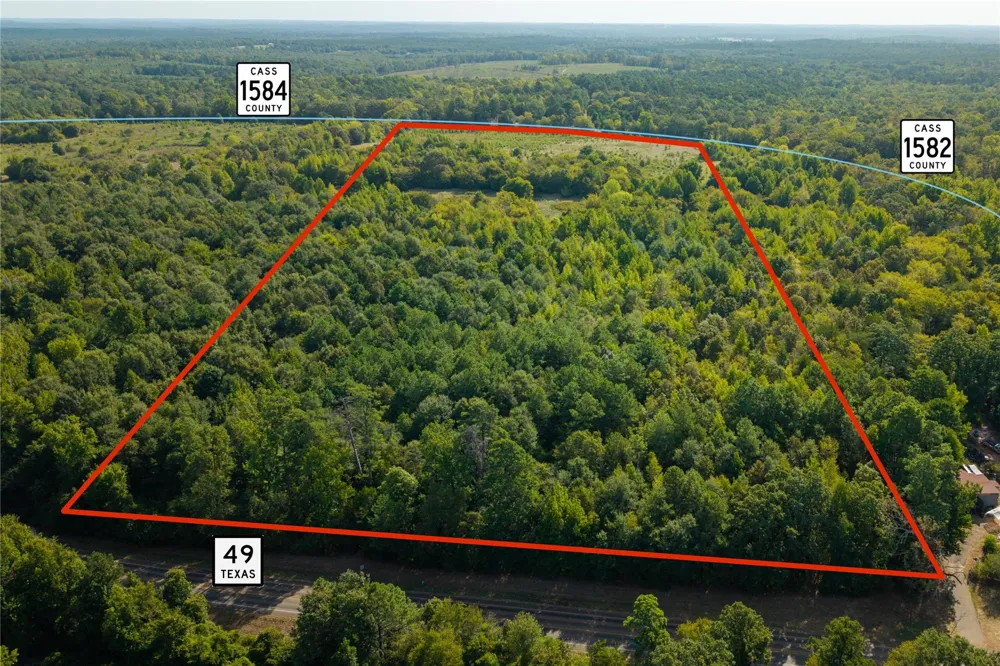 1 County Rd 1584 Avinger, TX 75630