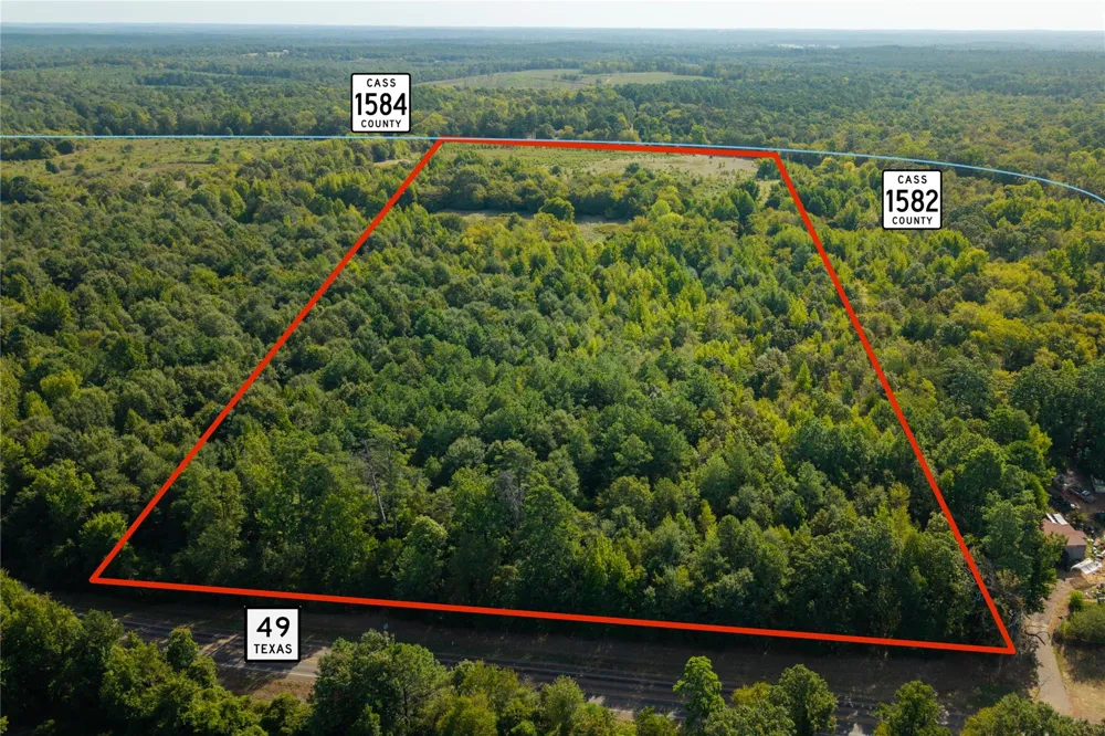 1 County Rd 1584 Avinger, TX 75630