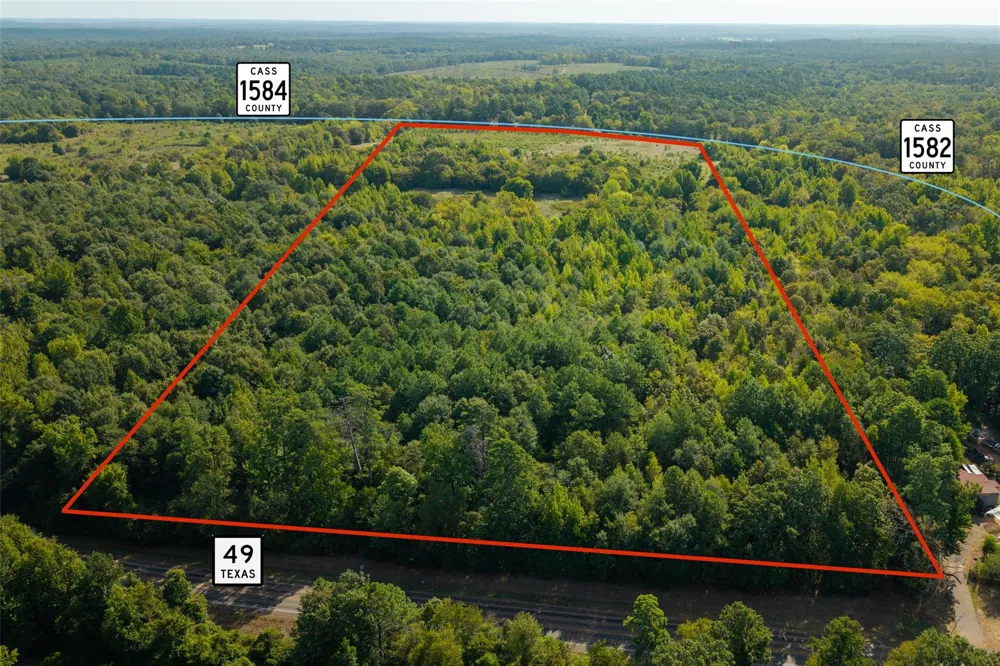 1 County Rd 1584 Avinger, TX 75630