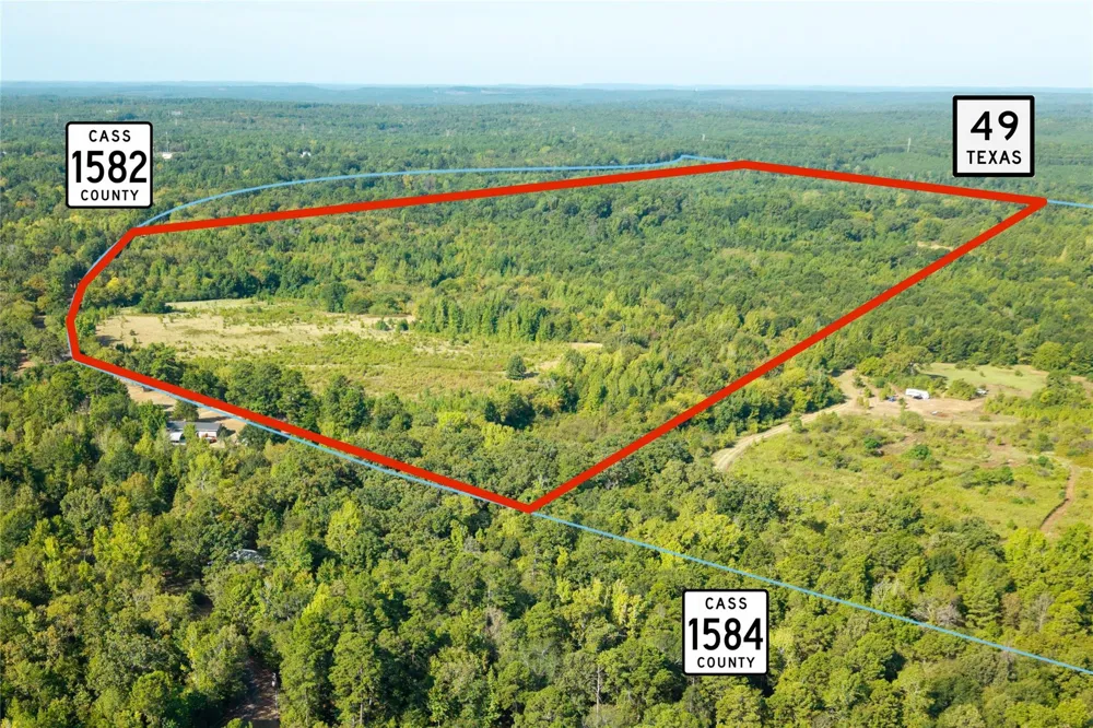 1 County Rd 1584 Avinger, TX 75630