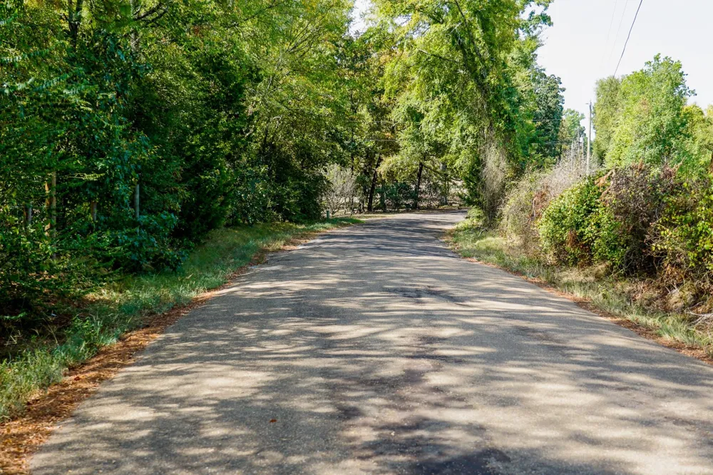 1 County Rd 1584 Avinger, TX 75630
