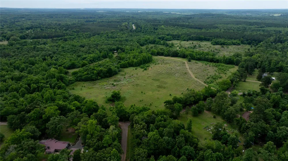 1 County Rd 1584 Avinger, TX 75630