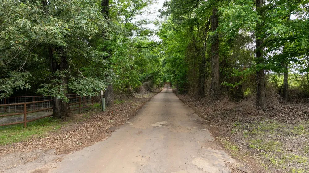 1 County Rd 1584 Avinger, TX 75630