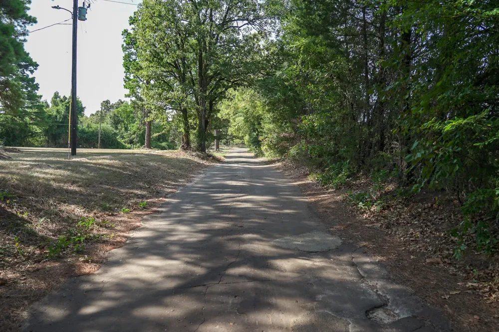 1 County Rd 1584 Avinger, TX 75630