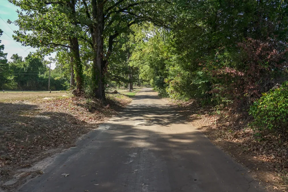 1 County Rd 1584 Avinger, TX 75630