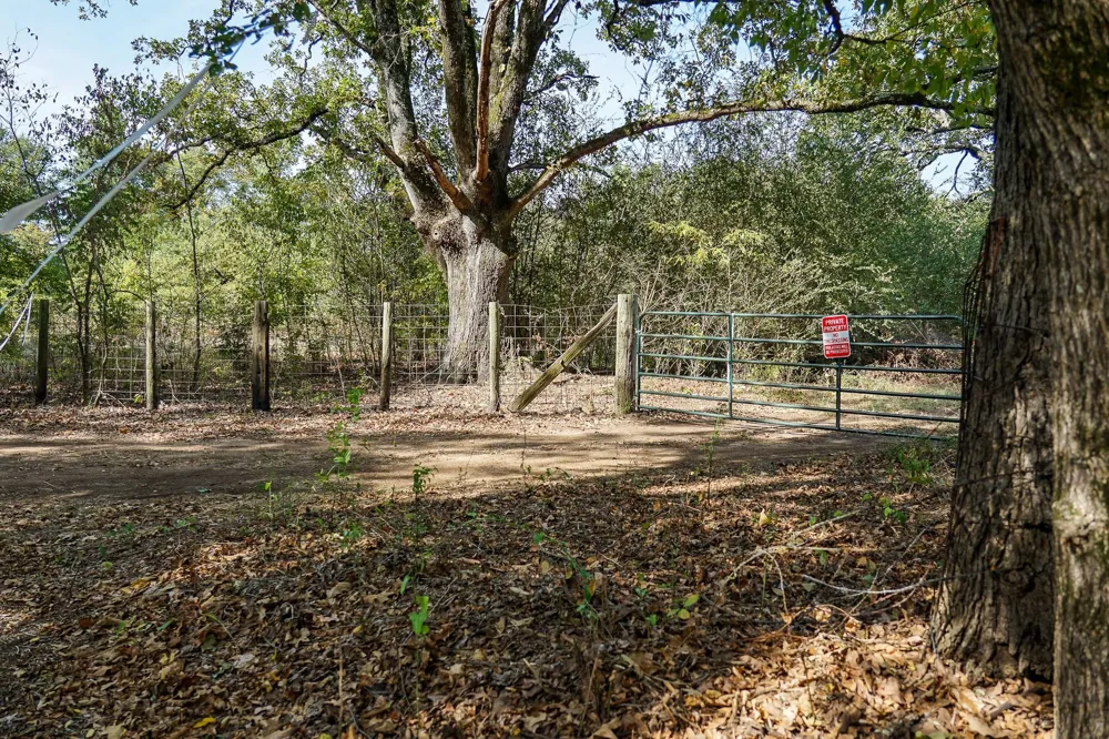 1 County Rd 1584 Avinger, TX 75630