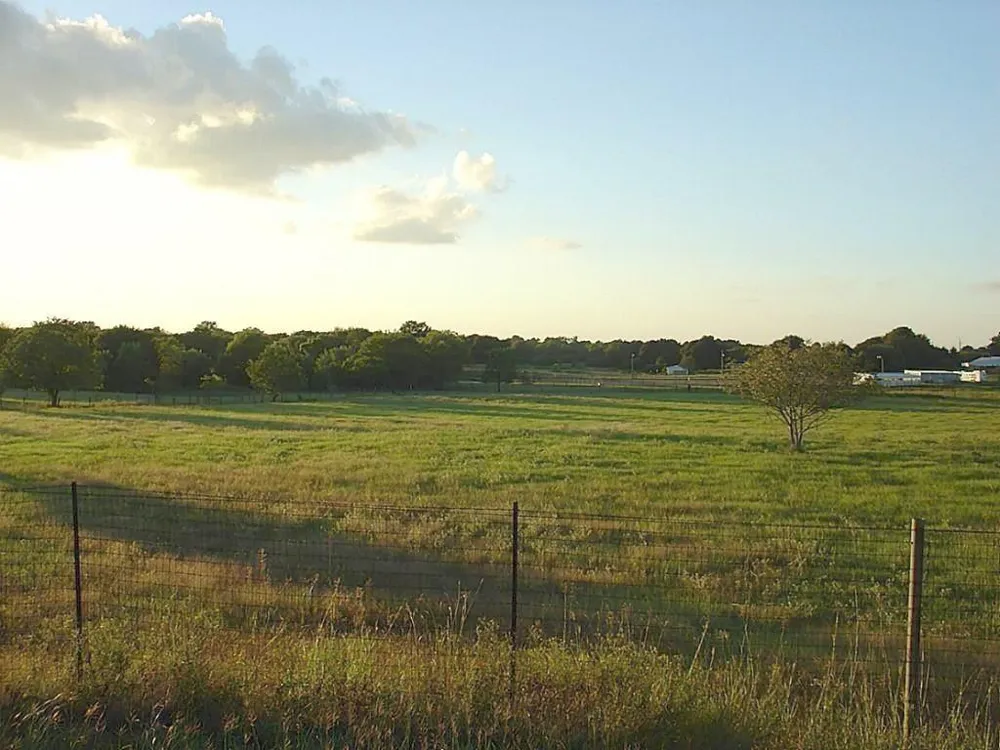 Yellow Bird Road Hockley, TX 77447