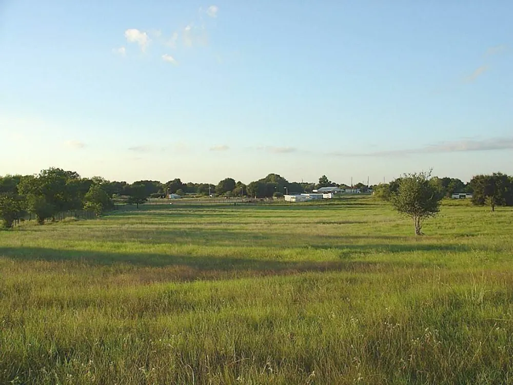 Yellow Bird Road Hockley, TX 77447