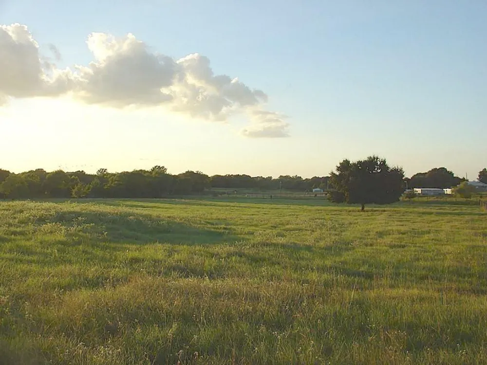 Yellow Bird Road Hockley, TX 77447