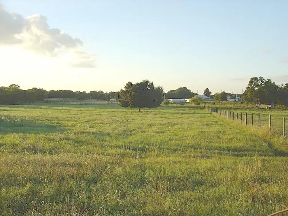 Yellow Bird Road Hockley, TX 77447
