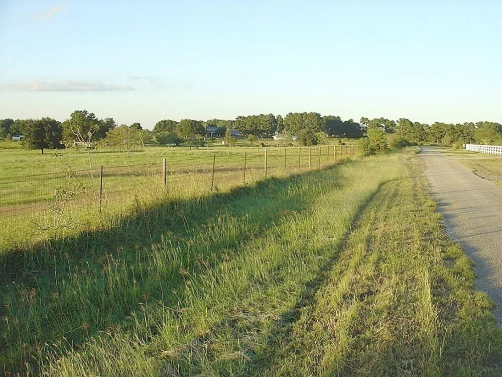 Yellow Bird Road Hockley, TX 77447