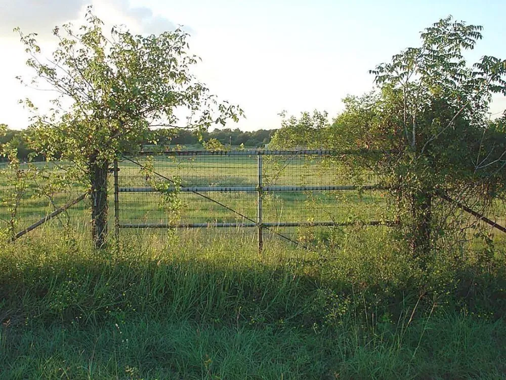 Yellow Bird Road Hockley, TX 77447