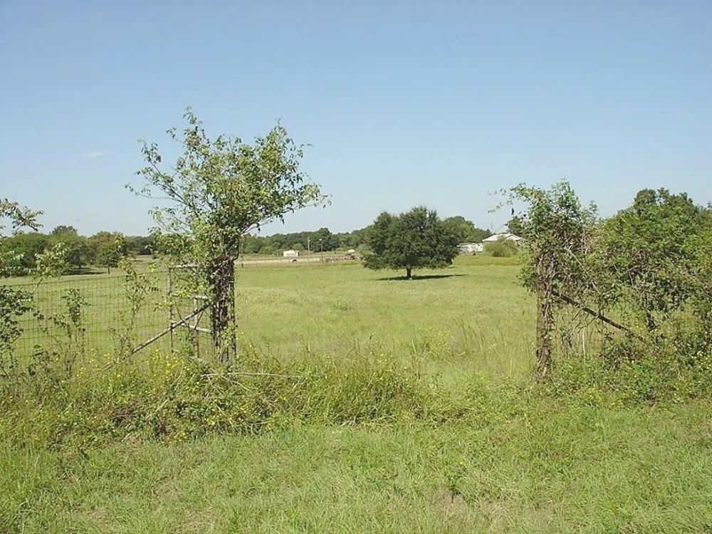 Yellow Bird Road Hockley, TX 77447