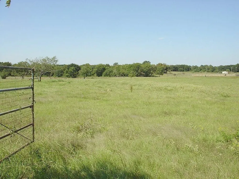 Yellow Bird Road Hockley, TX 77447