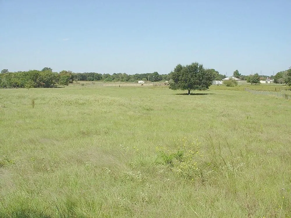 Yellow Bird Road Hockley, TX 77447