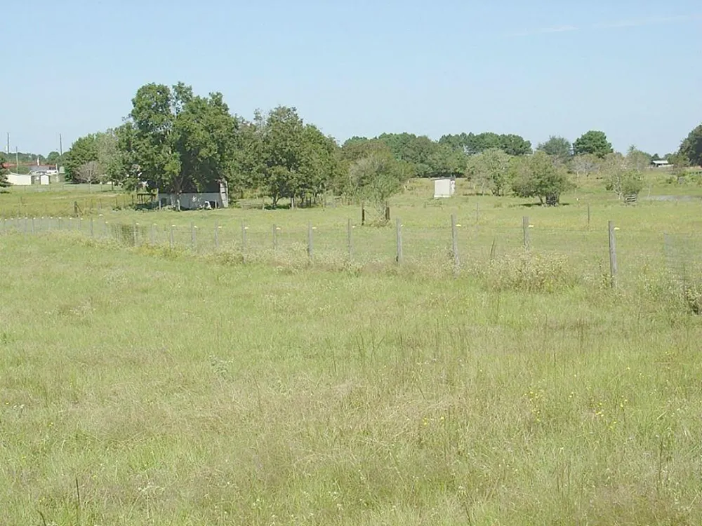 Yellow Bird Road Hockley, TX 77447