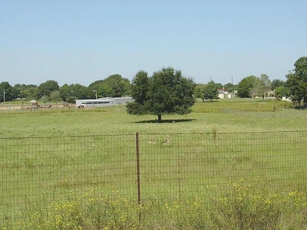 Yellow Bird Road Hockley, TX 77447