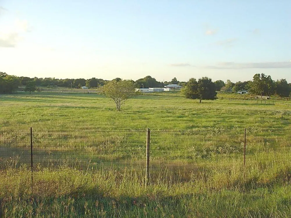 Yellow Bird Road Hockley, TX 77447