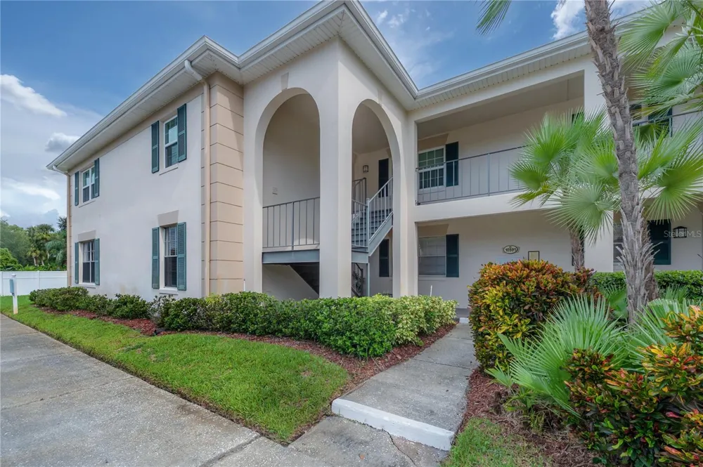 10391 CARROLLWOOD LANE #294 Tampa, FL 33618