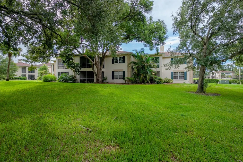 10391 CARROLLWOOD LANE #294 Tampa, FL 33618