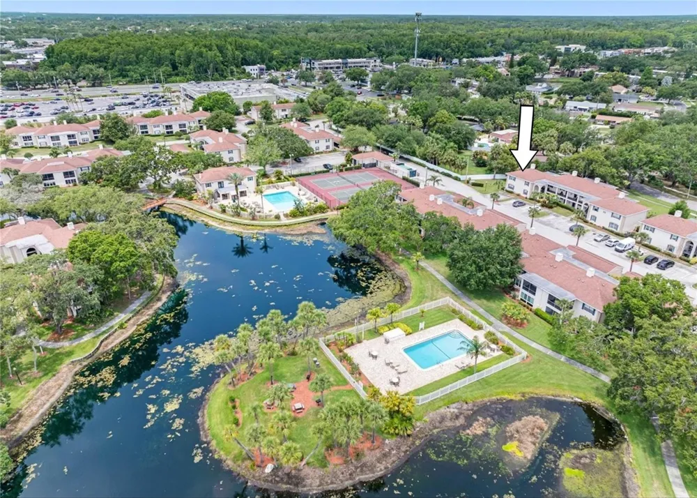 10391 CARROLLWOOD LANE #294 Tampa, FL 33618