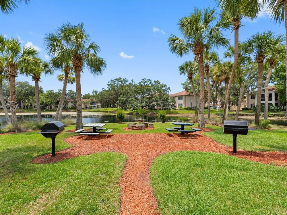 10391 CARROLLWOOD LANE #294 Tampa, FL 33618