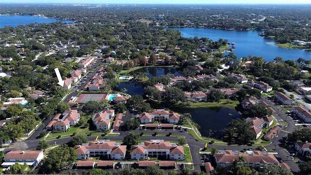 10391 CARROLLWOOD LANE #294 Tampa, FL 33618