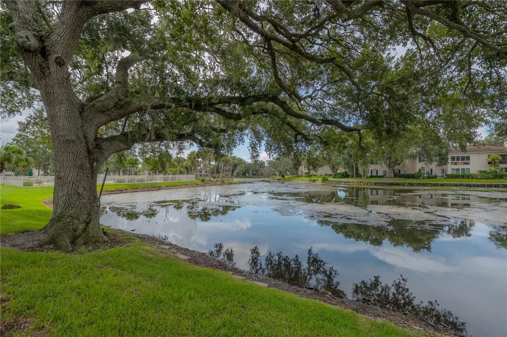10391 CARROLLWOOD LANE #294 Tampa, FL 33618