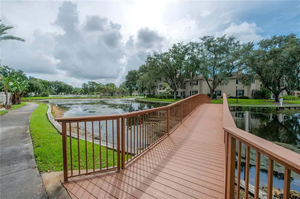 10391 CARROLLWOOD LANE #294 Tampa, FL 33618