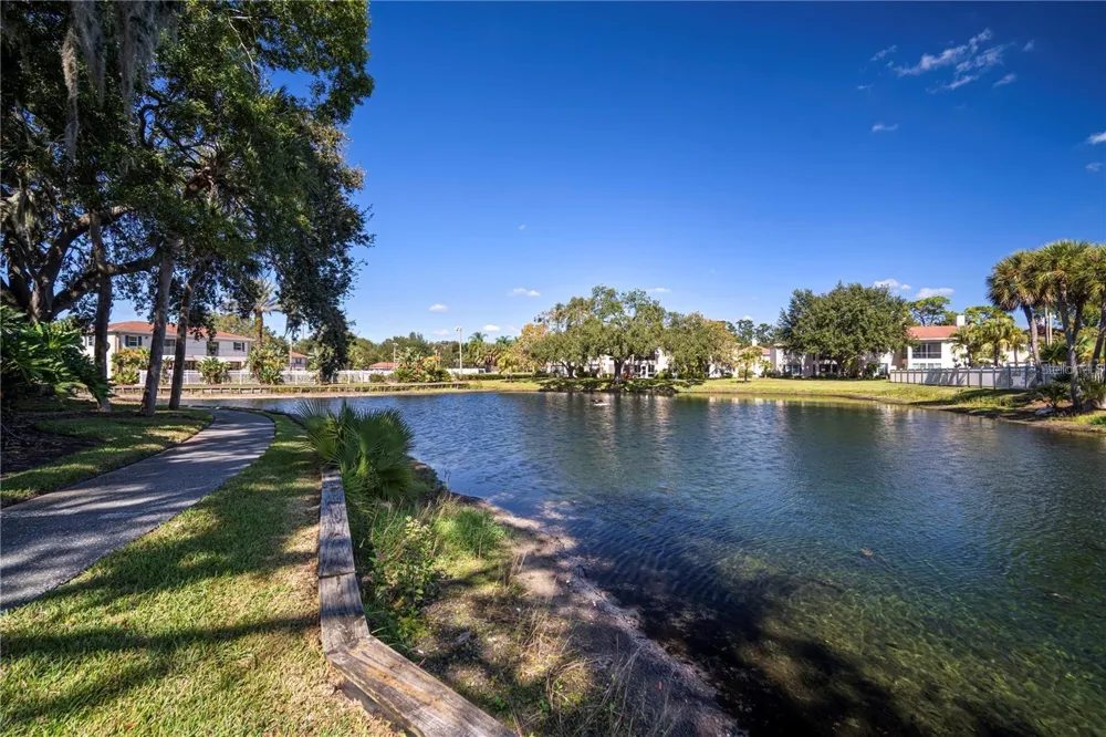 10391 CARROLLWOOD LANE #294 Tampa, FL 33618