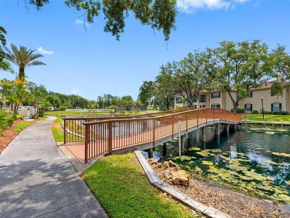 10391 CARROLLWOOD LANE #294 Tampa, FL 33618