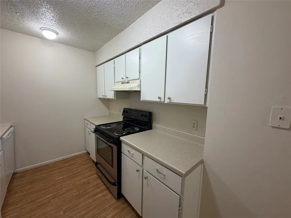 421 Live Oak Street Kyle, TX 78640