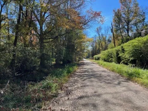 Lazy Creek Drive