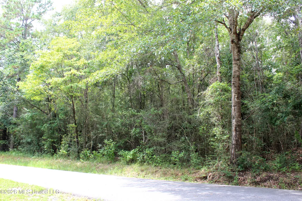 Moddie K Road Lucedale, MS 39452