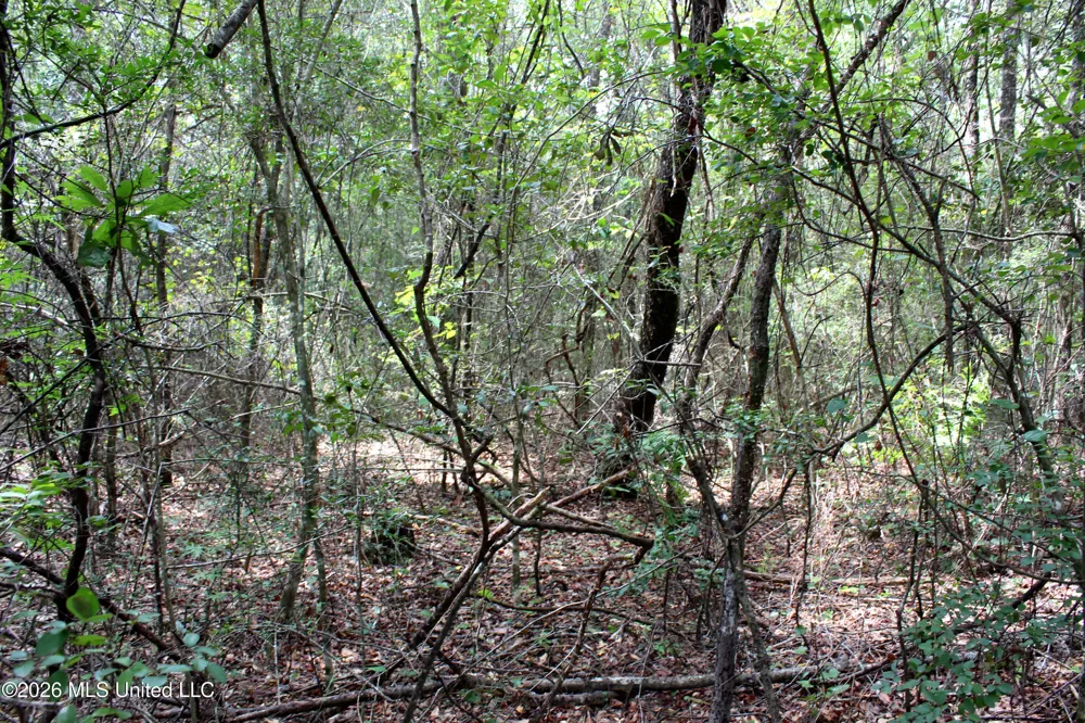 Moddie K Road Lucedale, MS 39452