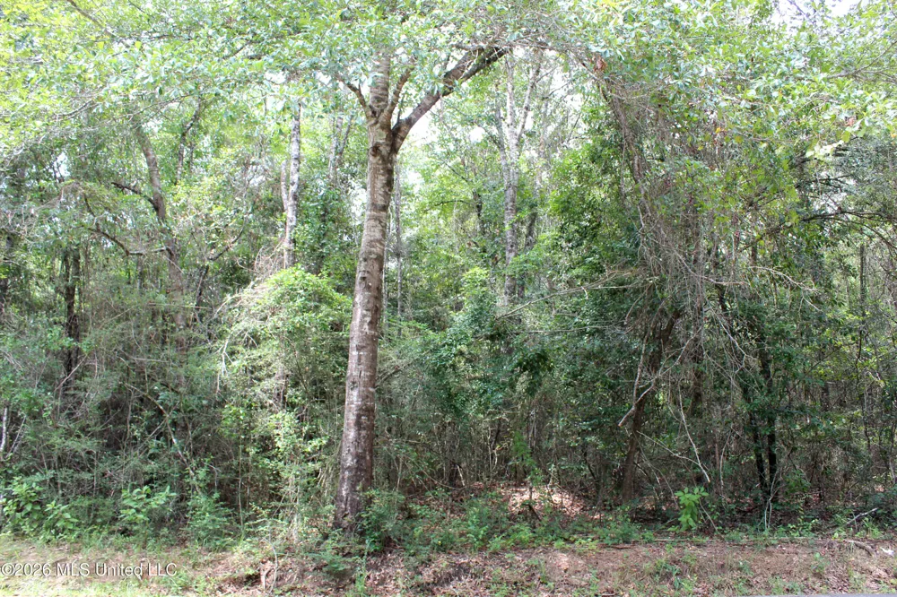 Moddie K Road Lucedale, MS 39452